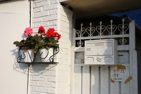 봉리단길의 한 주택 앞에 붙어있는 꽃화분